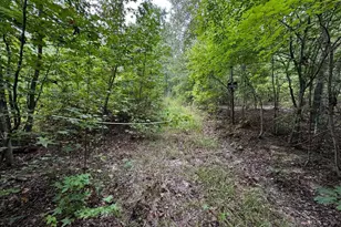 00 Gabe Rd, Saluda, SC 29138 - Photo 1