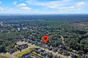 142 Rice Marsh Wy, Wilmington, NC 28412 - Photo 61