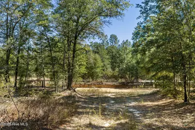 0000 Mary Rawls Road, Wagener, SC 29164 - Photo 21
