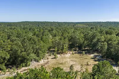 0000 Mary Rawls Road, Wagener, SC 29164 - Photo 13