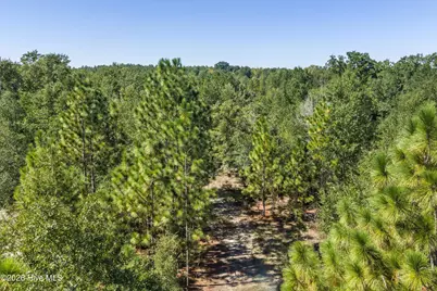 0000 Mary Rawls Road, Wagener, SC 29164 - Photo 19