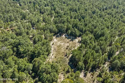 0000 Mary Rawls Road, Wagener, SC 29164 - Photo 7
