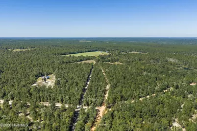 0000 Mary Rawls Road, Wagener, SC 29164 - Photo 17