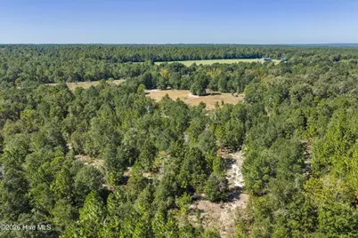 0000 Mary Rawls Road, Wagener, SC 29164 - Photo 11