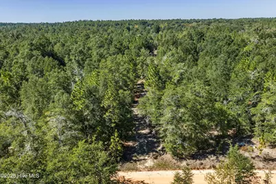 0000 Mary Rawls Road, Wagener, SC 29164 - Photo 3