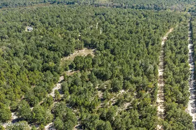 0000 Mary Rawls Road, Wagener, SC 29164 - Photo 15