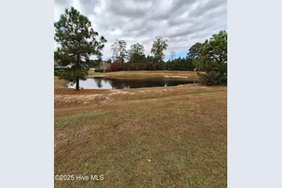 3616 Chesson Court, Winterville, NC 28590 - Photo 23