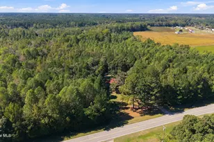 14942 US 258 S, Fountain, NC 27829 - Photo 59