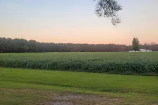 3766 Nc Hwy 53 W, Burgaw, NC 28425 - Photo 35