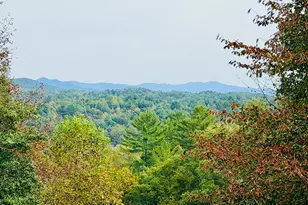 99 Old Possum Wy, Murphy, NC 28906 - Photo 5