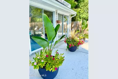 729 Bragg Drive #Apt C, Wilmington, NC 28412 - Photo 3