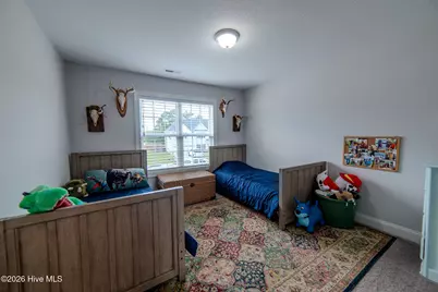207 Coscoroba Court, Swansboro, NC 28584 - Photo 19