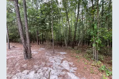 410 Bingham Street, Carthage, NC 28327 - Photo 5