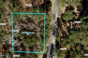 410 Bingham St, Carthage, NC 28327 - Photo 1