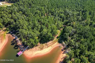 1165 Watersedge Cove, Tignall, GA 30668 - Photo 49