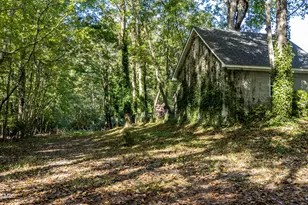 1285 Bear Grass Rd, Williamston, NC 27892 - Photo 51