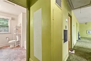 8466 Hwy 903, Halifax, NC 27839 - Photo 23