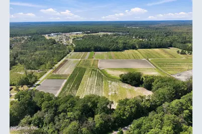 000 Willis Farm (68Ac All 3 Lots), Newport, NC 28570 - Photo 15