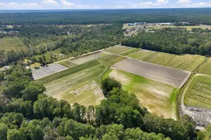000 Willis Farm (68Ac All 3 Lots), Newport, NC 28570 - Photo 1