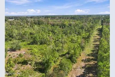 000 Willis Farm (68Ac All 3 Lots), Newport, NC 28570 - Photo 31
