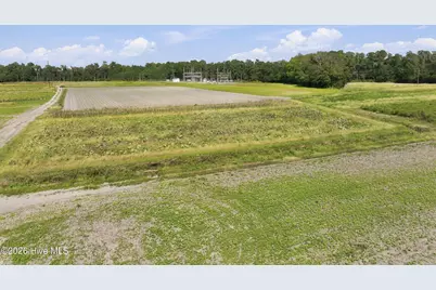 000 Willis Farm (68Ac All 3 Lots), Newport, NC 28570 - Photo 13