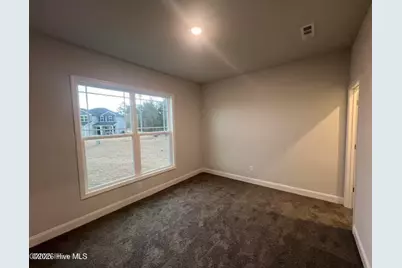 221 Eliza Way, Winterville, NC 28590 - Photo 11
