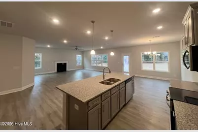 221 Eliza Way, Winterville, NC 28590 - Photo 21