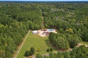 2483 McNeill Hobbs Rd, Bunnlevel, NC 28323 - Photo 83