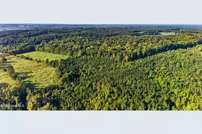 Tbd 2 Henderson Tanyard Road, Pittsboro, NC 27312 - Photo 11