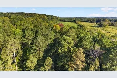 Tbd 2 Henderson Tanyard Road, Pittsboro, NC 27312 - Photo 15