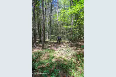 21181 Traders Road, Laurel Hill, NC 28351 - Photo 57