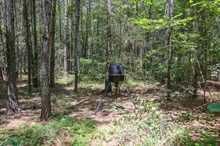 21181 Traders Rd, Laurel Hill, NC 28351 - Photo 57