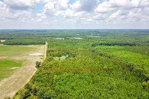 21181 Traders Rd, Laurel Hill, NC 28351 - Photo 53