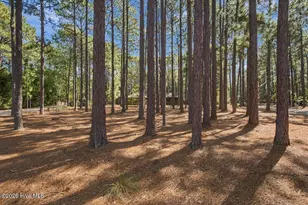 375 Swoope Dr, Southern Pines, NC 28387 - Photo 63