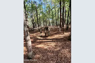 12681 Blues Farm Road, Laurinburg, NC 28352 - Photo 47
