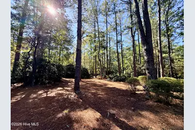 12681 Blues Farm Road, Laurinburg, NC 28352 - Photo 37