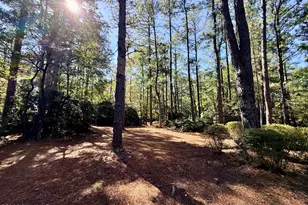 12681 Blues Farm Rd, Laurinburg, NC 28352 - Photo 37