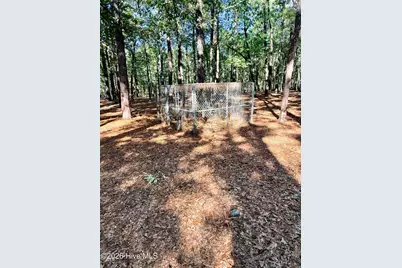 12681 Blues Farm Road, Laurinburg, NC 28352 - Photo 45