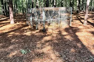 12681 Blues Farm Rd, Laurinburg, NC 28352 - Photo 45