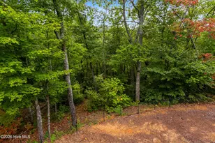 315 Peachtree Mountain Estates Road, Murphy, NC 28906 - Photo 7