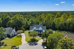 134 Wild Berry Ln, Hampstead, NC 28443 - Photo 37