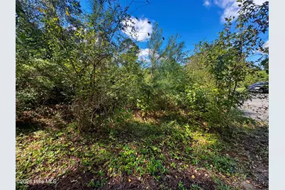 1401 Mewborn Avenue, Kinston, NC 28501 - Photo 5