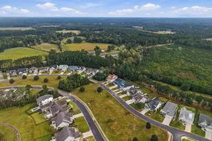 133 Spicer Lake Dr, Holly Ridge, NC 28445 - Photo 83
