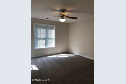 415 Celtic Ash Street, Sneads Ferry, NC 28460 - Photo 11