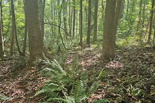 0 Off Old County Home Rd, Nashville, NC 27856 - Photo 1