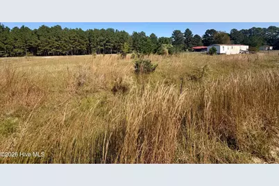 50 Maple Leaf Drive, Saint Pauls, NC 28384 - Photo 3