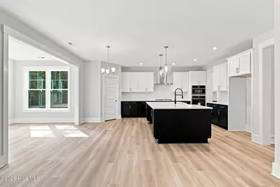 1008 Doe Place, Wilmington, NC 28409 - Photo 49