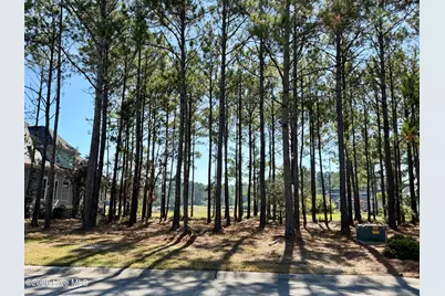 6609 Summerhill Glen SW, Ocean Isle Beach, NC 28469 - Photo 5