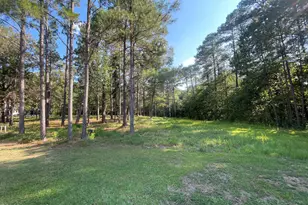 231 Meyer Farm Dr, Pinehurst, NC 28374 - Photo 1