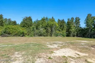 66 Hummingbird Grv Ln, Princeton, NC 27569 - Photo 31